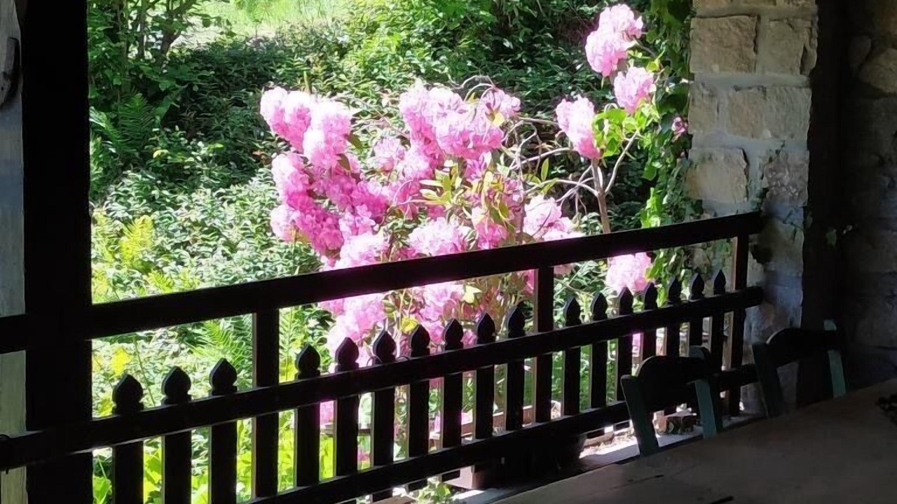 Photo of Patio Balcony in Escoutoux