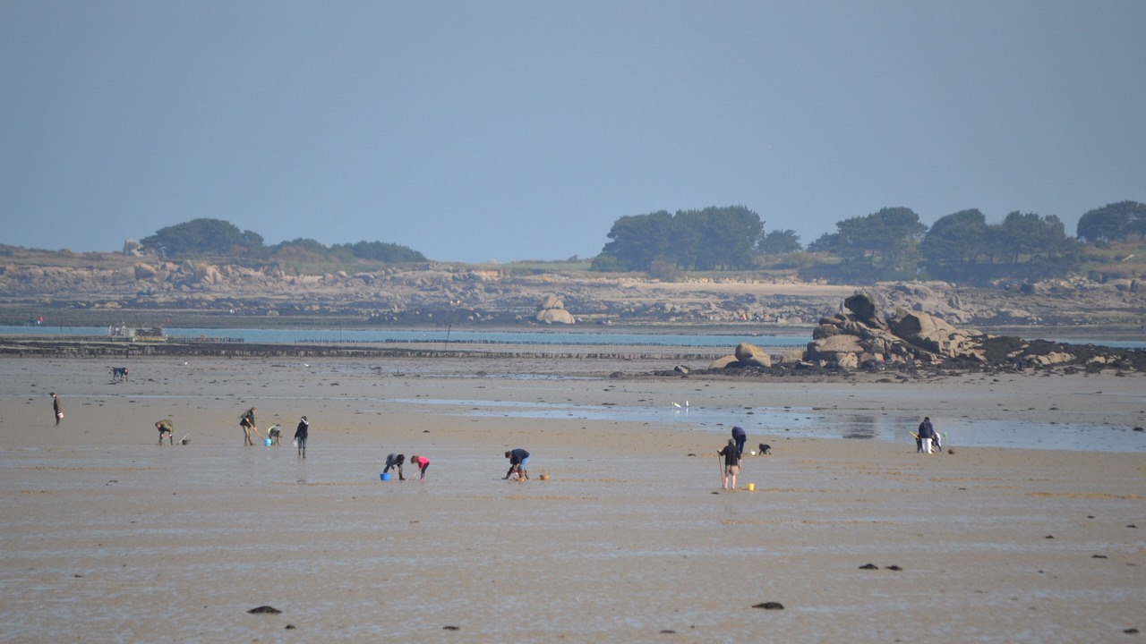 Photo of Others in Plounevez-Lochrist