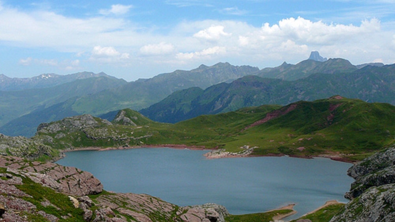Photo of Others in Borce
