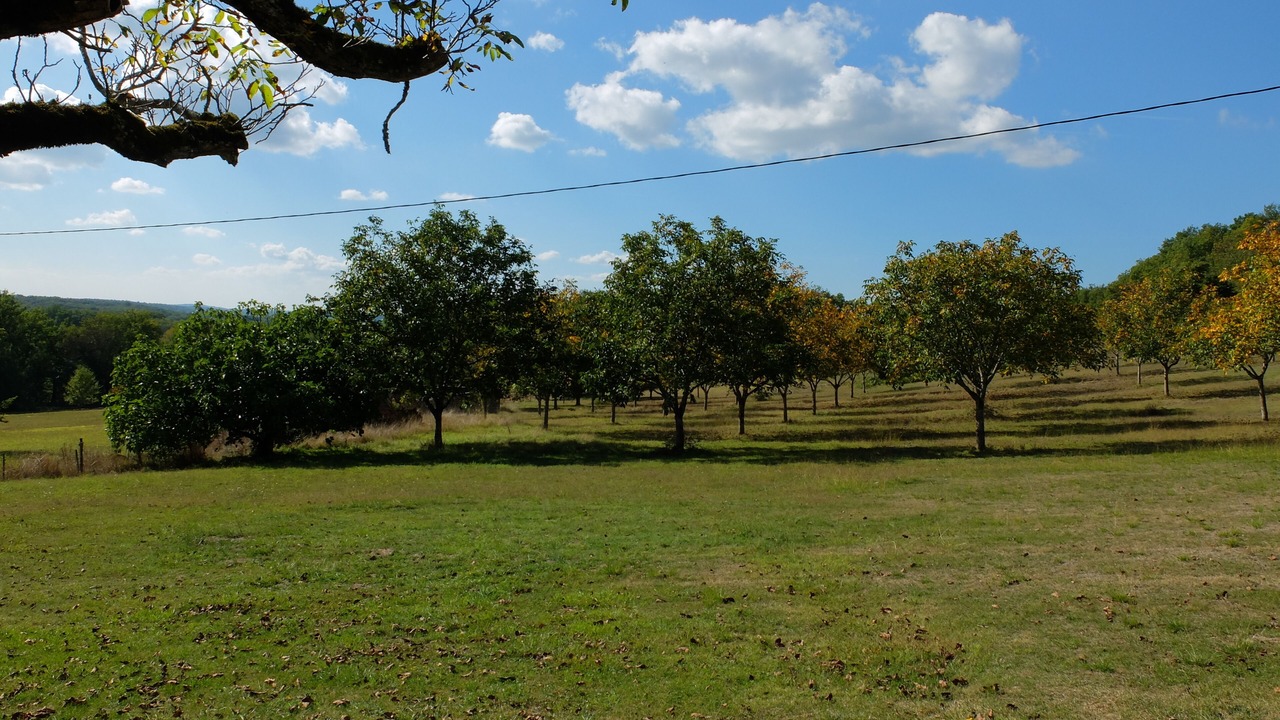 Photo of Outdoor in Uzech