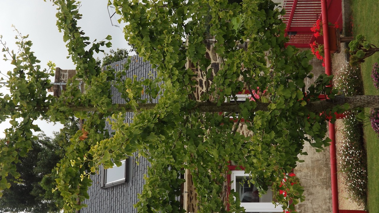 Photo of Outdoor in Ploezal