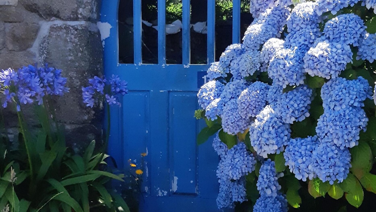 Photo of Outdoor in Paimpol
