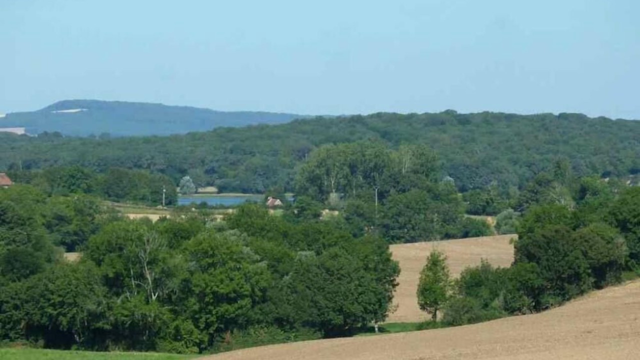 Photo of Others in Tintury