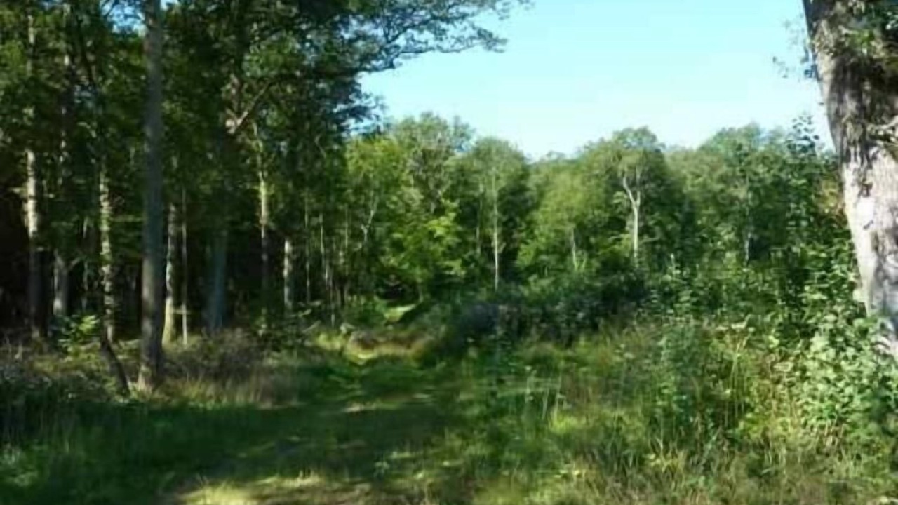 Photo of Others in Tintury