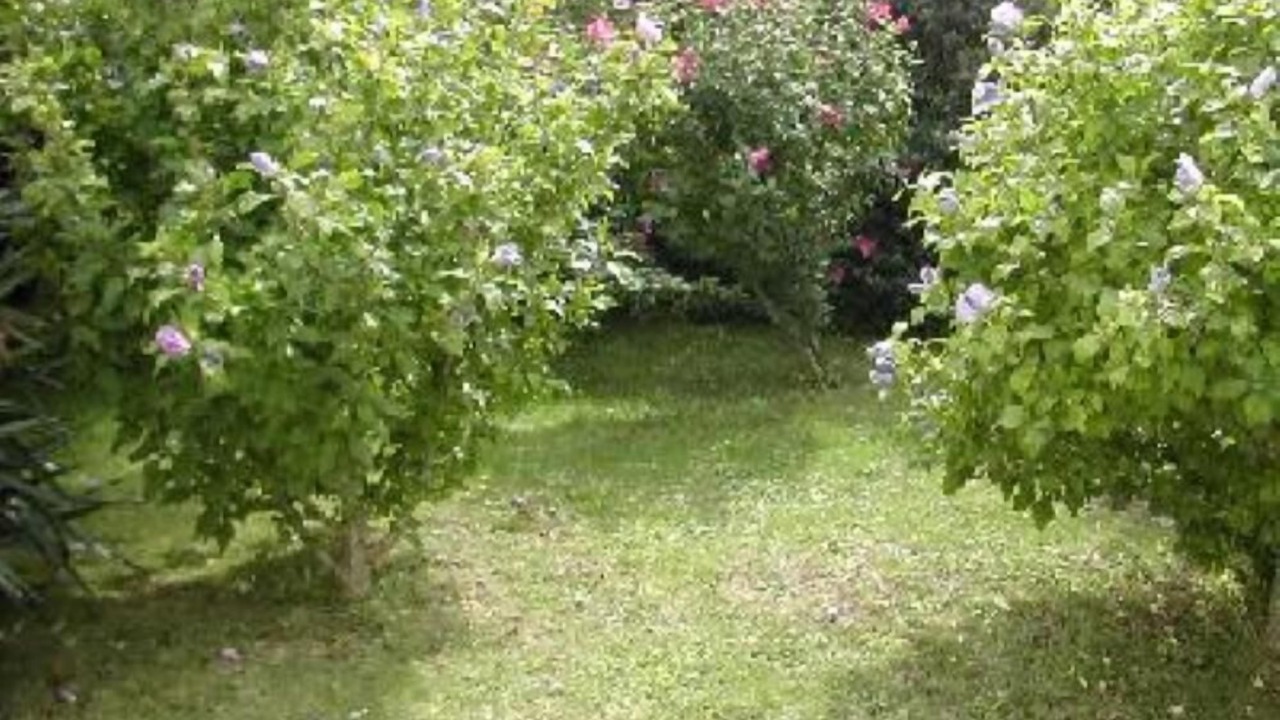 Photo of Outdoor in Groix