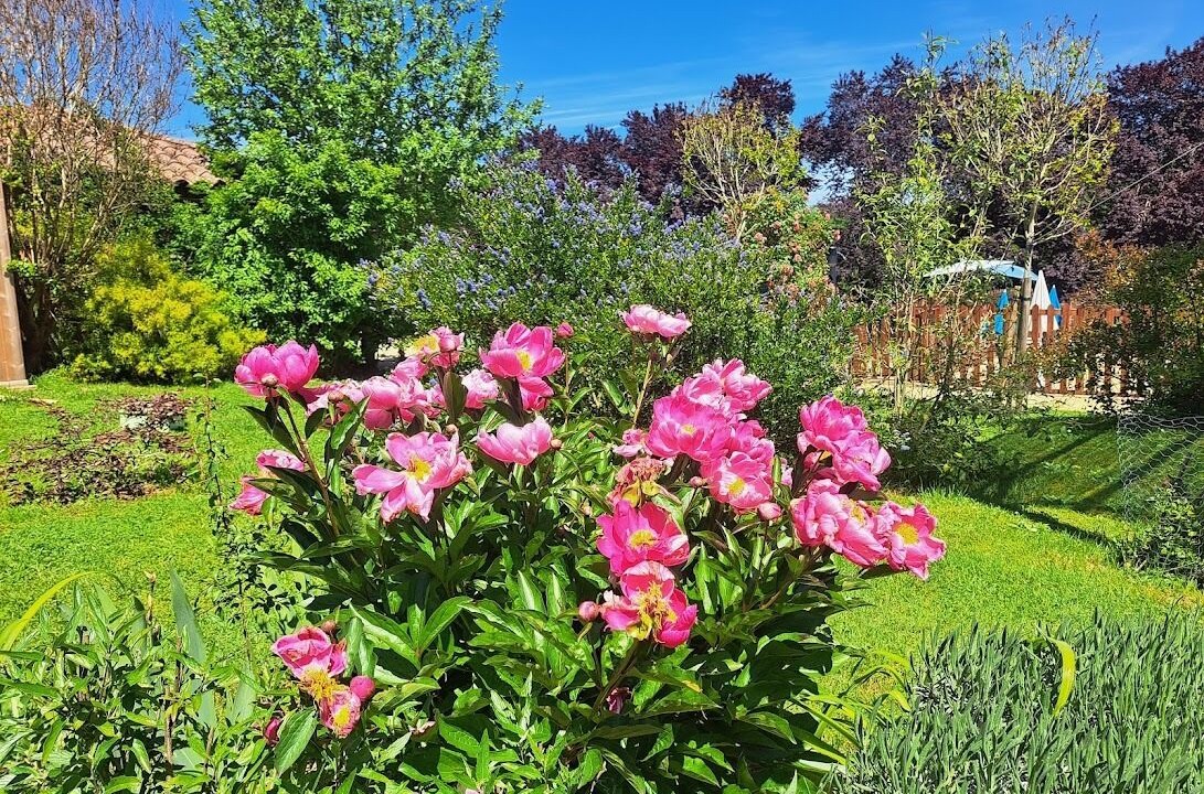 Photo of Outdoor in Saint-Aubin-de-Nabirat