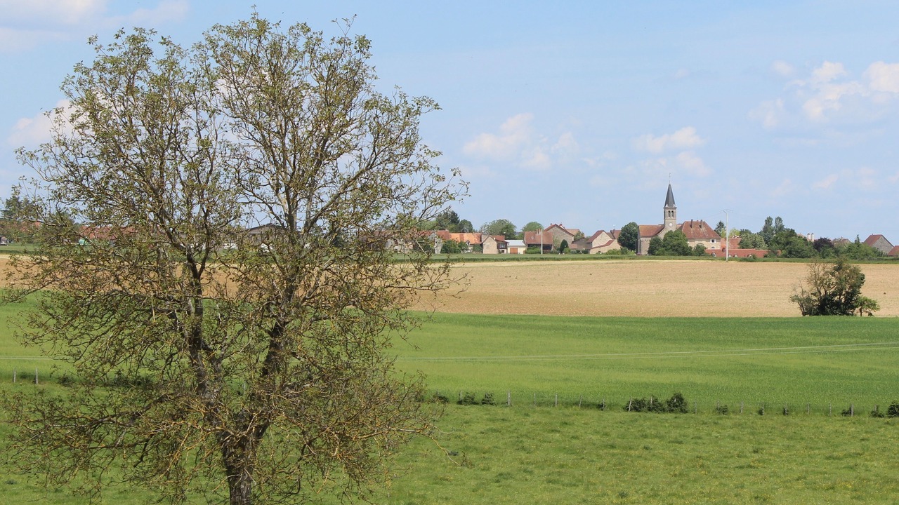 Photo of Others in Champagny-sous-Uxelles
