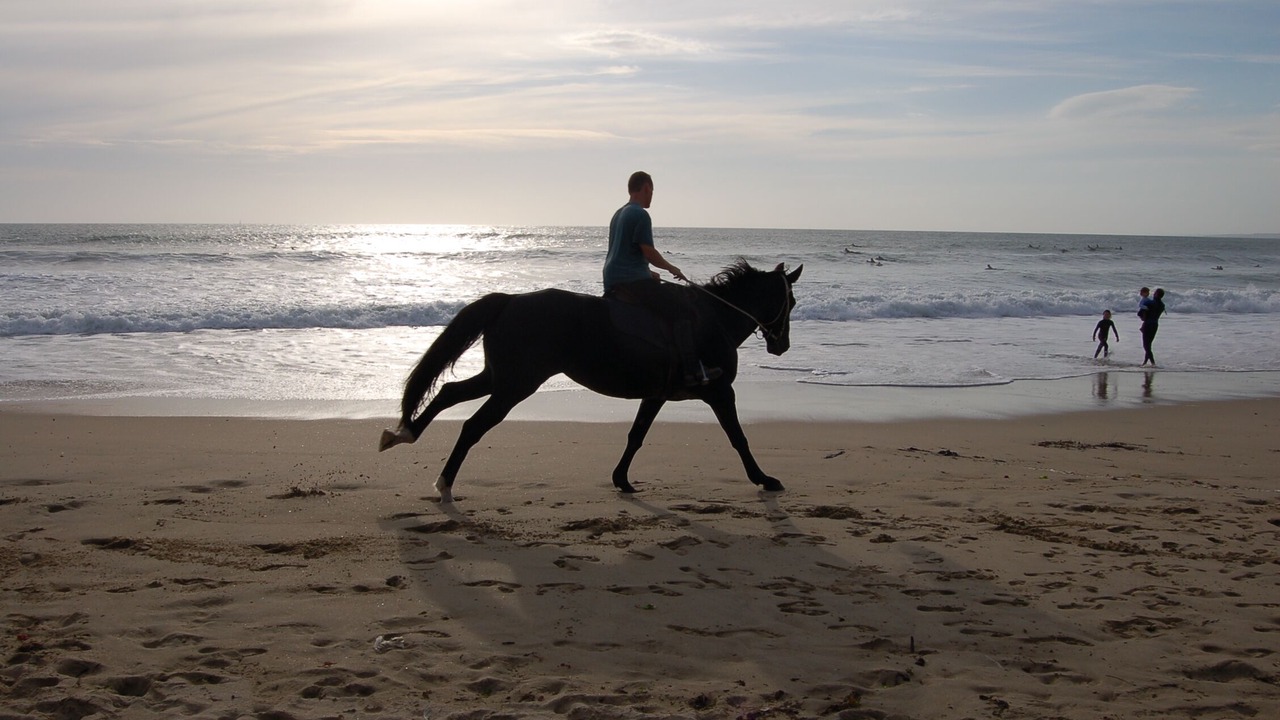 Photo of Others in Moelan-sur-Mer