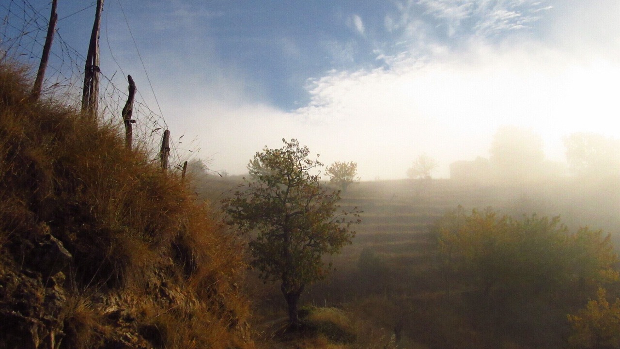 Photo of Outdoor in Lentilleres