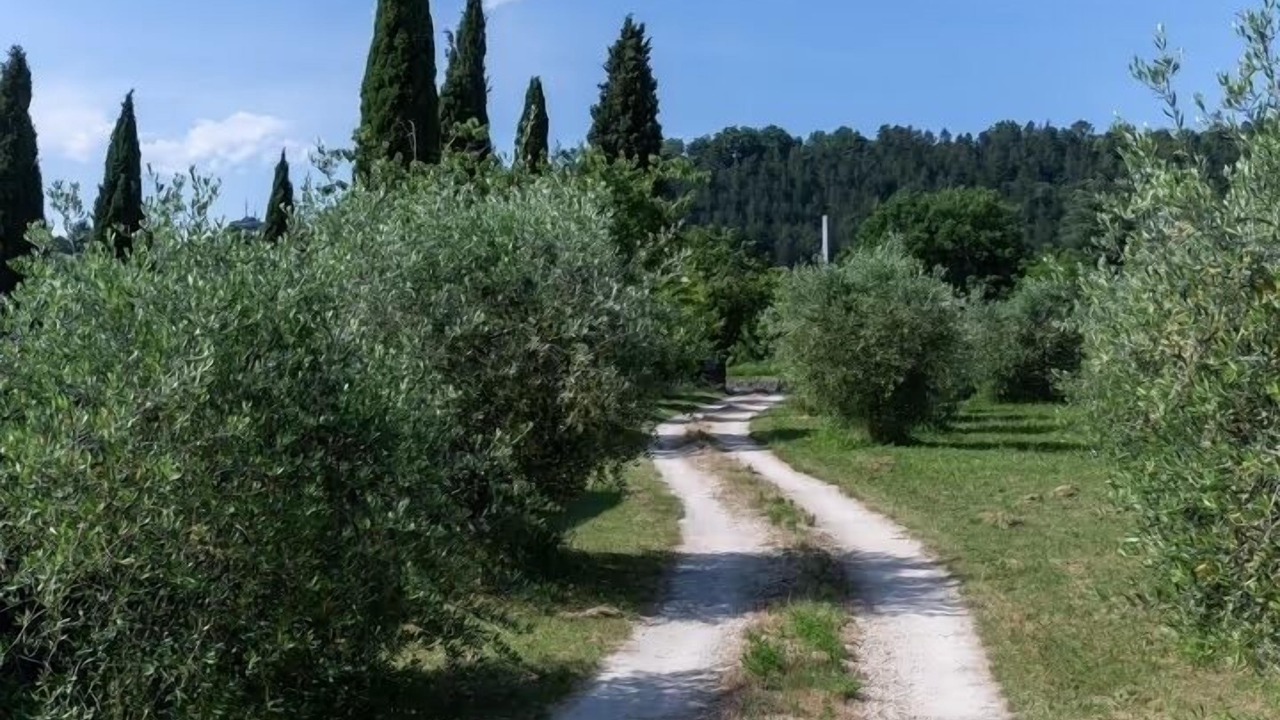 Photo of Others in Chambonas