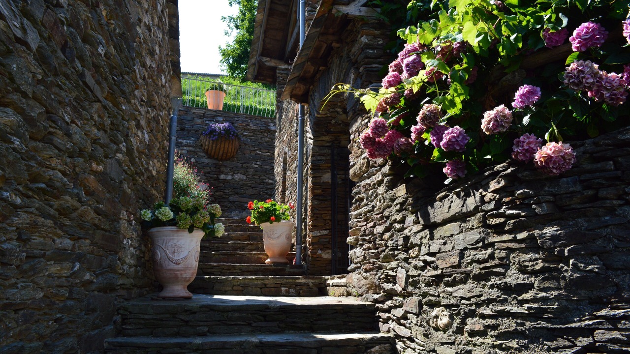 Photo of Outdoor in Saint-Martin-de-Lansuscle