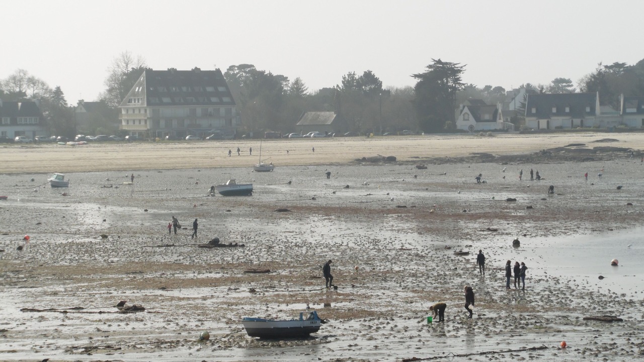 Photo of Others in Concarneau