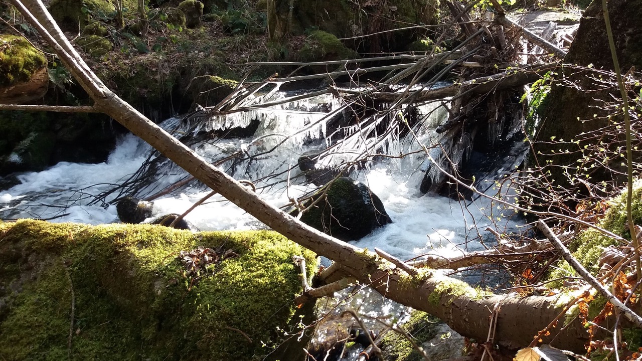 Photo of Outdoor in Olloix