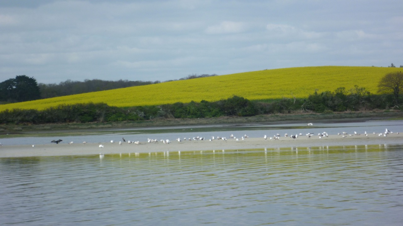 Photo of Others in Kerherou