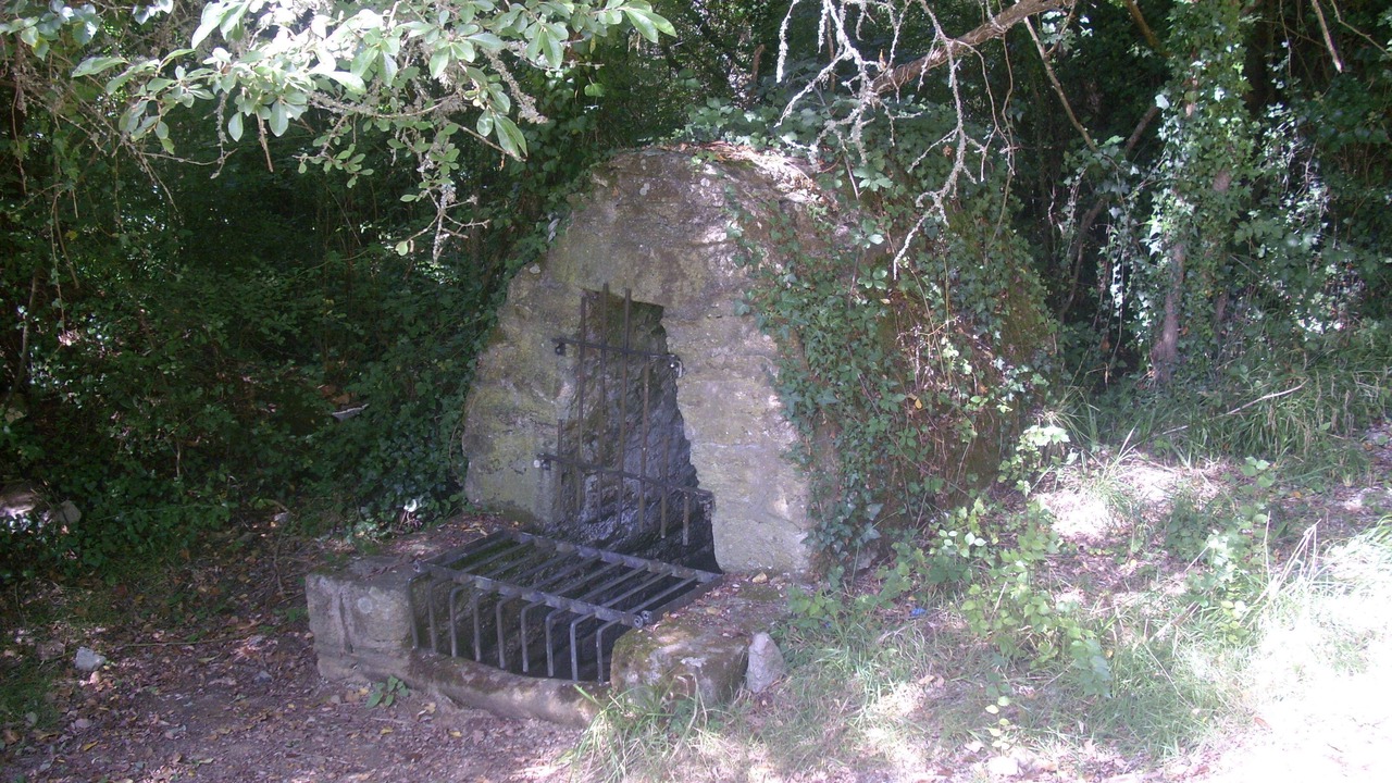 Photo of Outdoor in Sarzeau