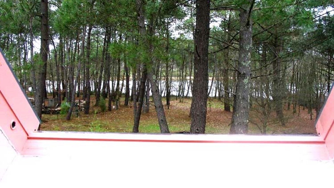 Photo of Others in Locoal-Mendon