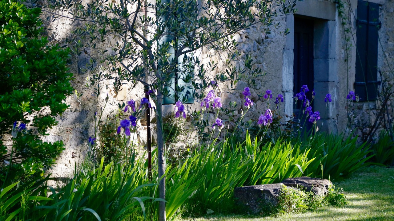 Photo of Outdoor in Montlaur