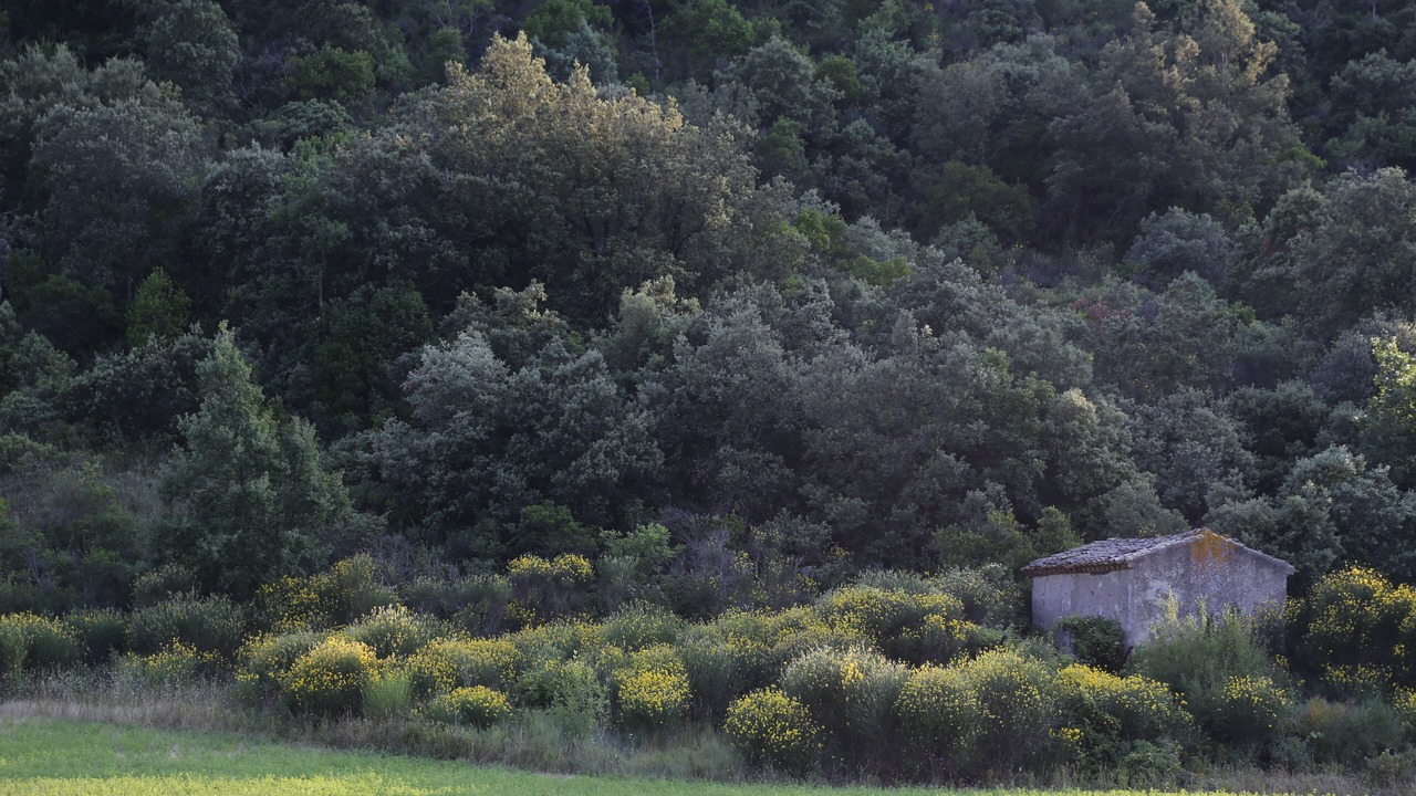 Photo of Outdoor in Montlaur