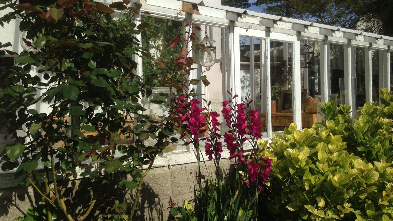 Photo of Outdoor in Portbail