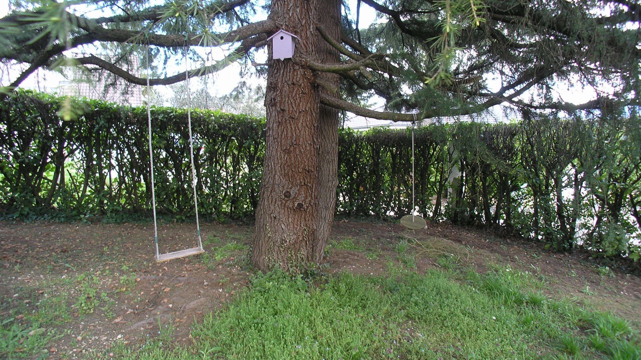 Photo of Outdoor in Claix