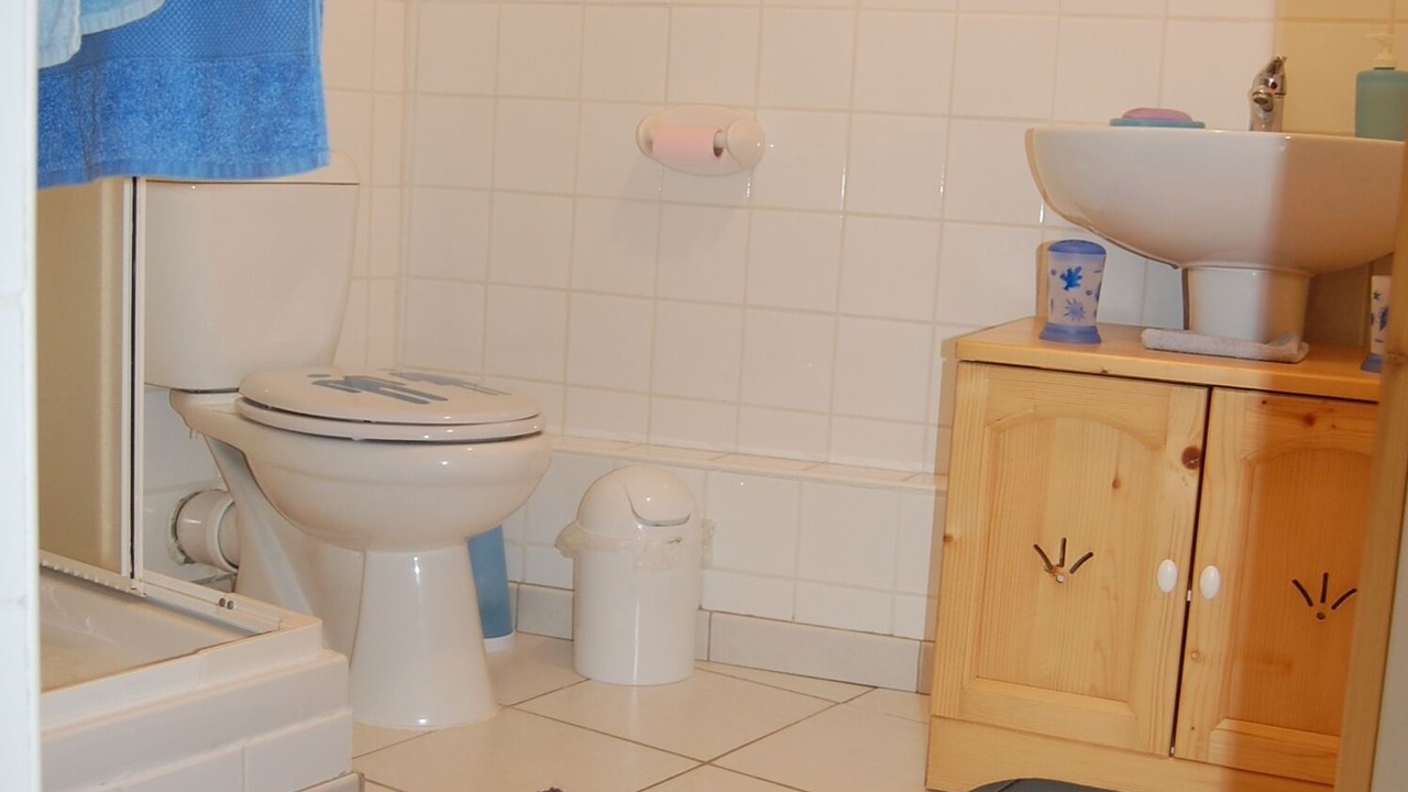 Photo of Bathroom in Lanne-en-Baretous