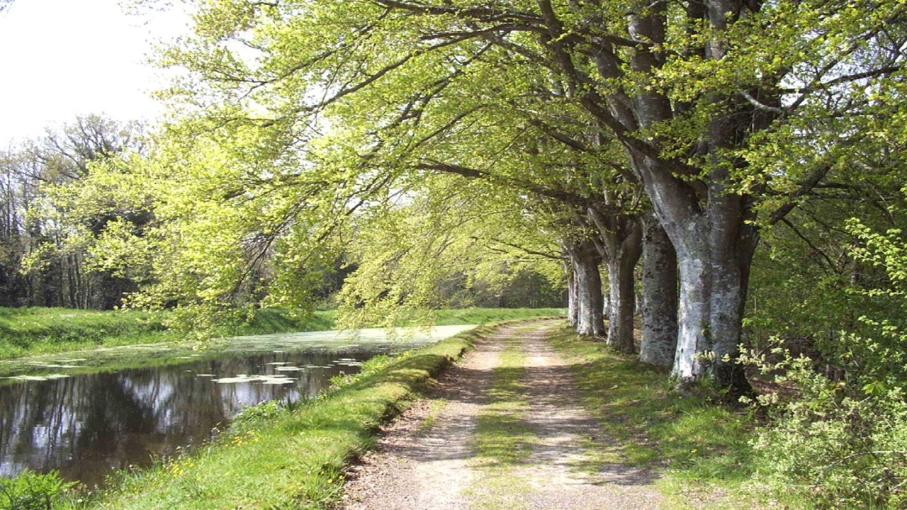 Photo of Outdoor in Moustoir-Remungol