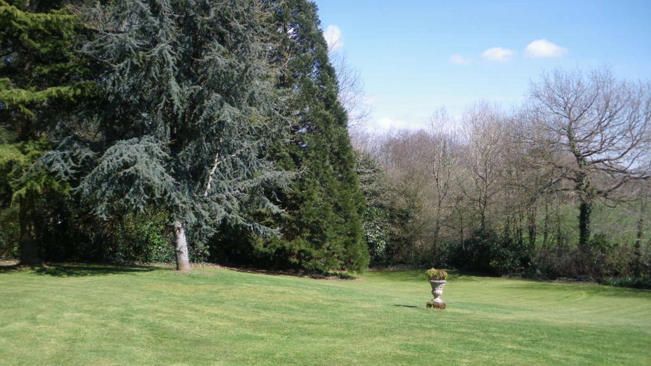 Photo of Others in Berric