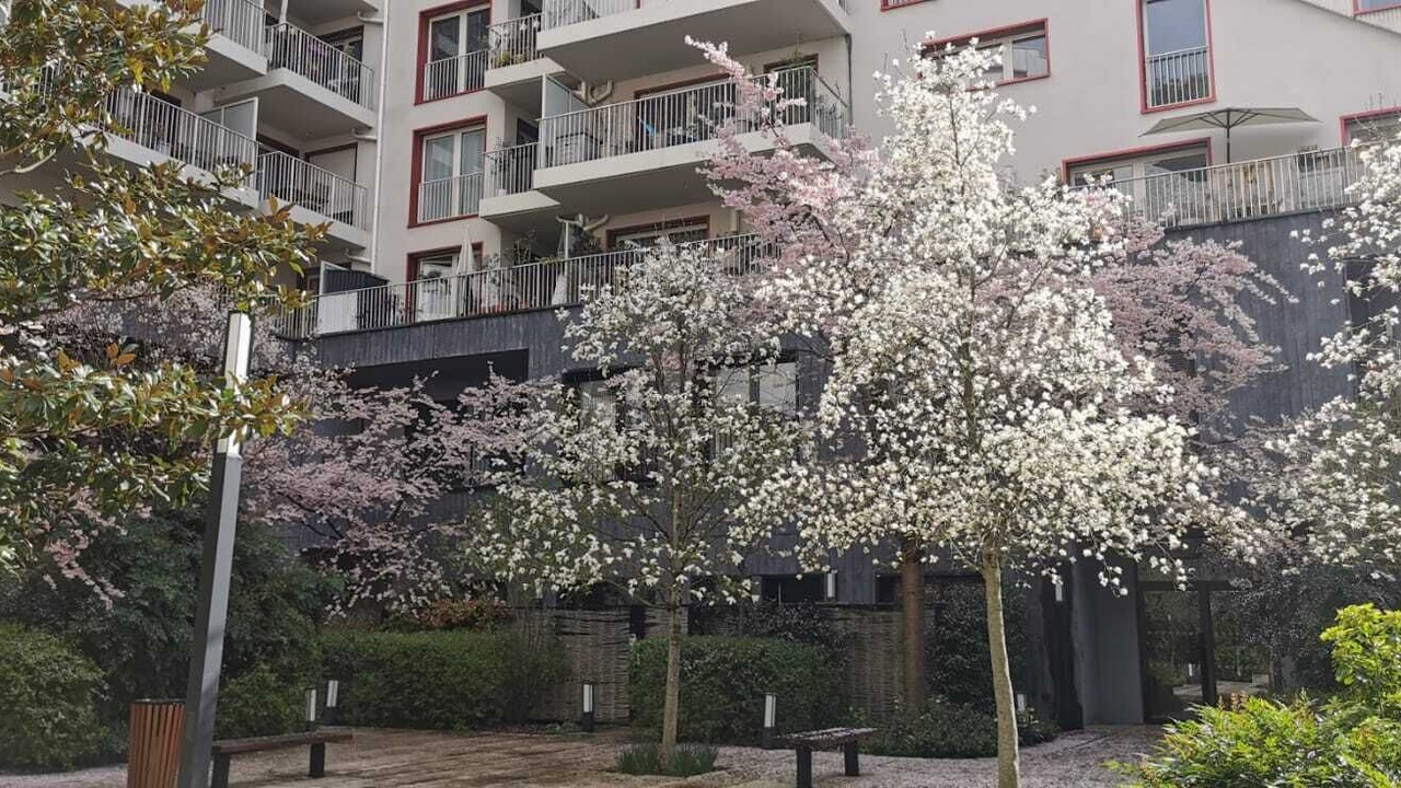 Photo of Outdoor in Batignolles