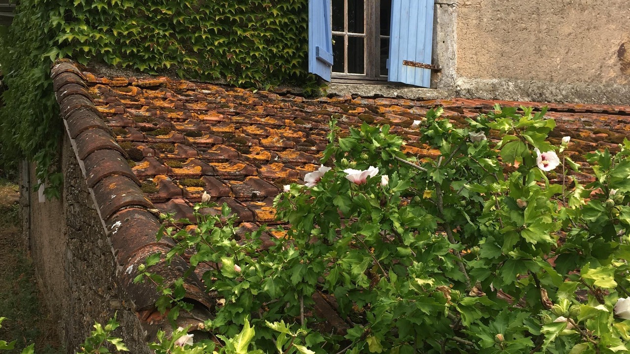 Photo of Outdoor in Ginals