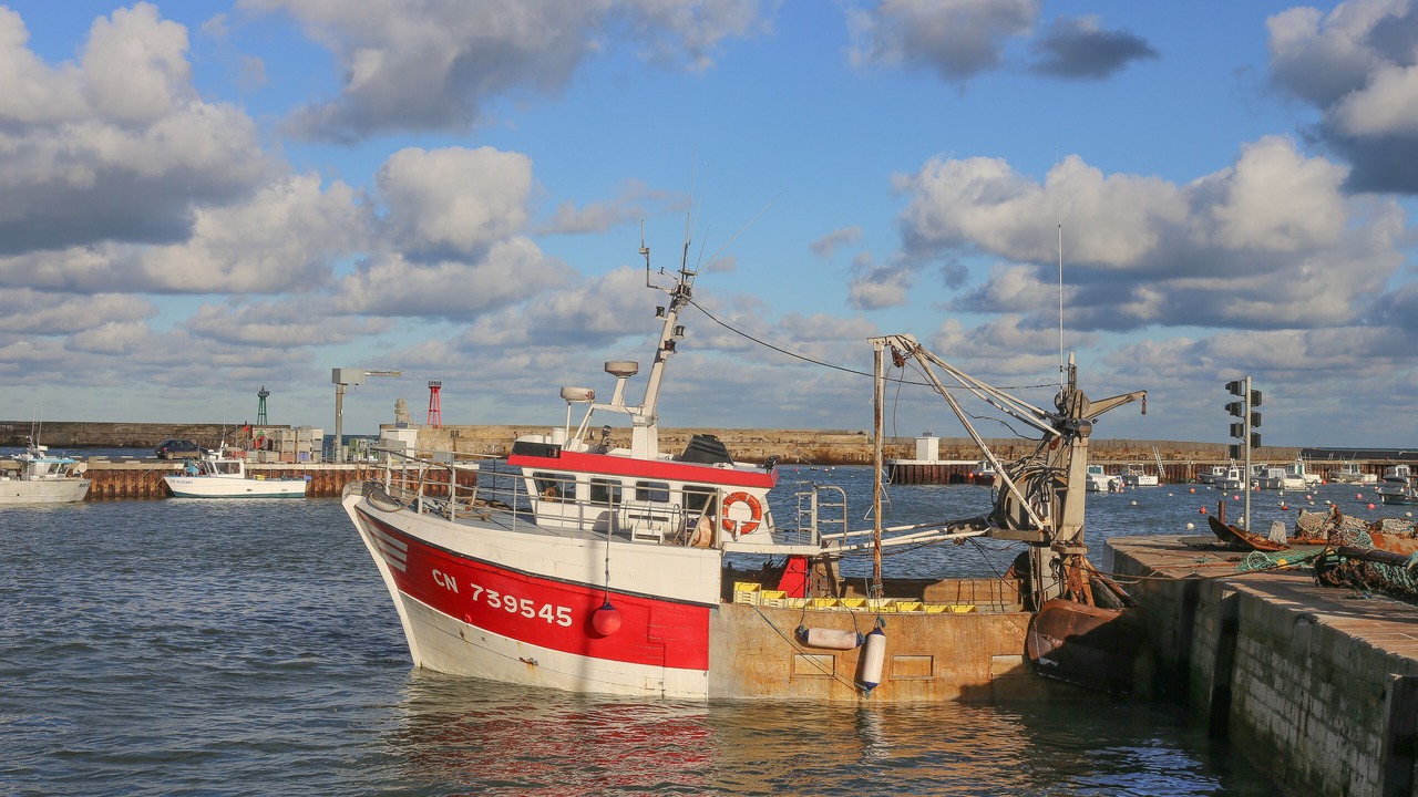 Photo of Others in Port-en-Bessin-Huppain