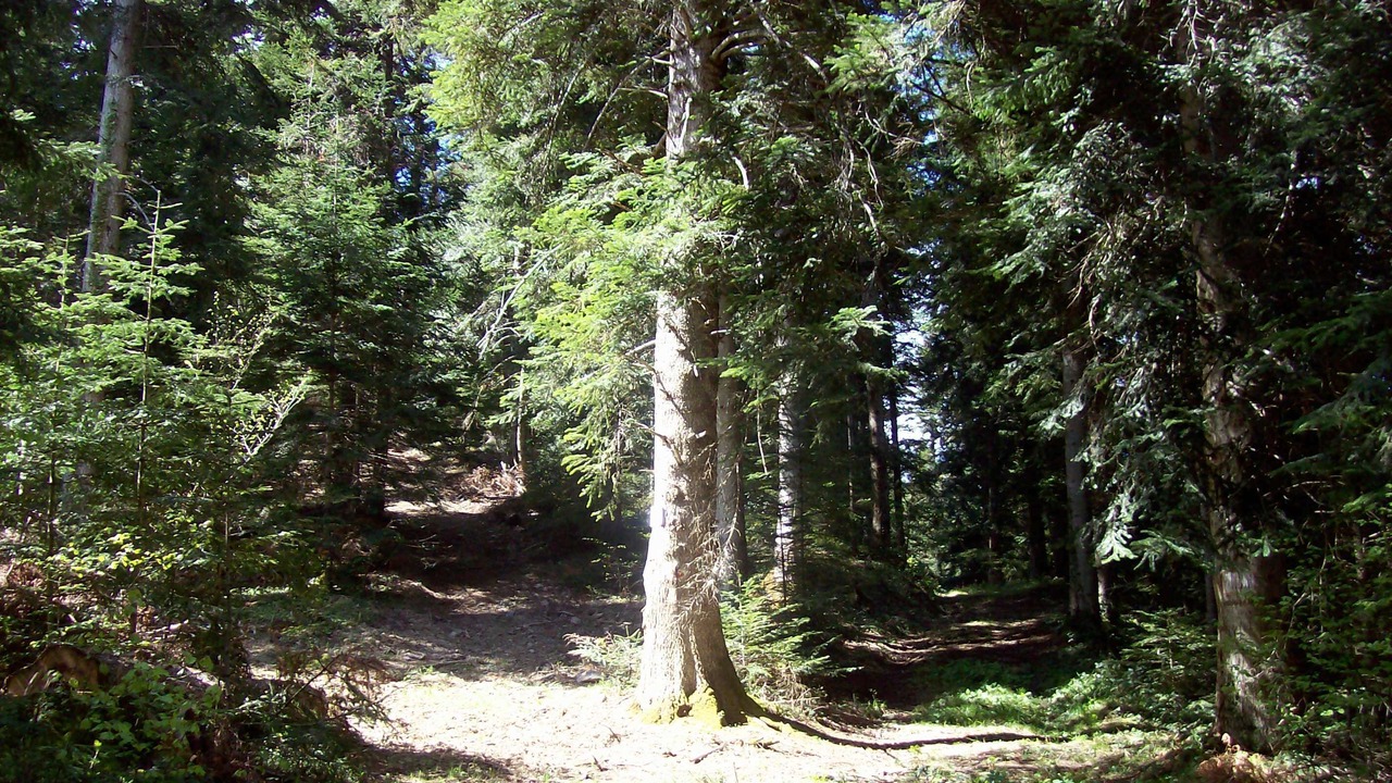 Photo of Outdoor in Fougax-et-Barrineuf