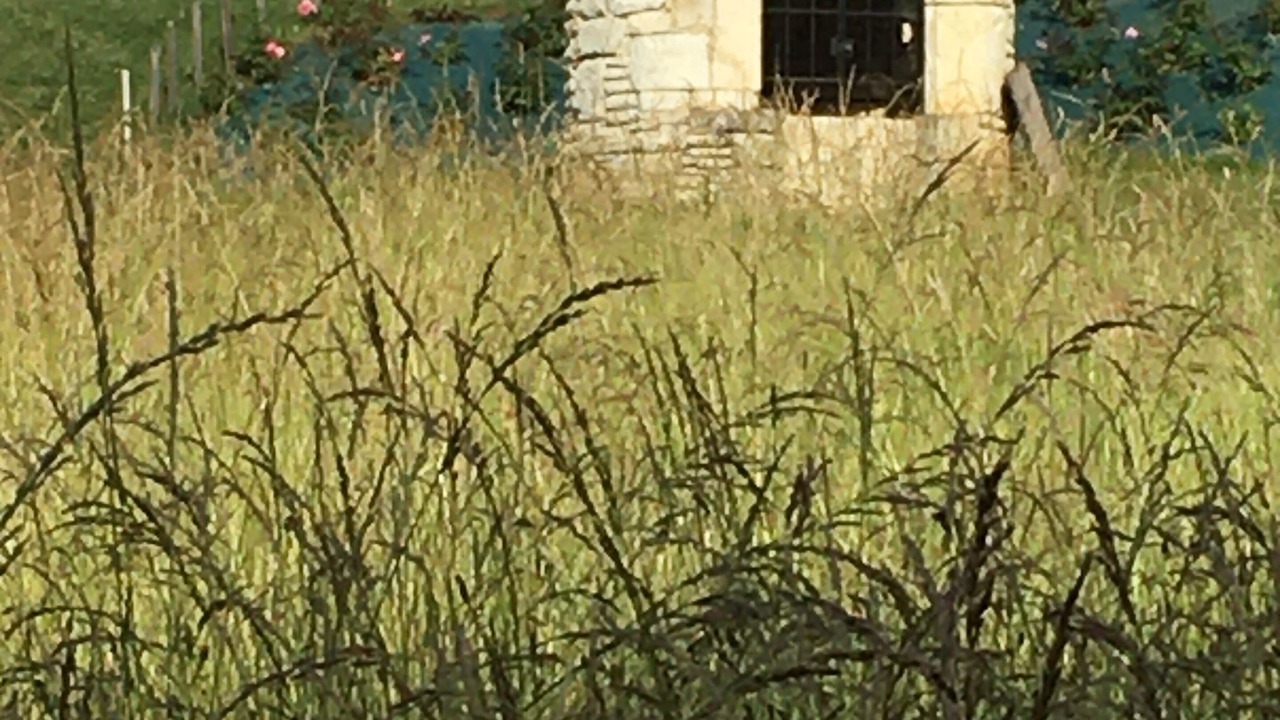 Photo of Outdoor in Les Arques
