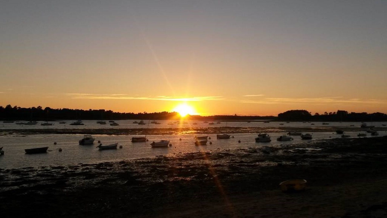 Photo of Others in Ile-Tudy