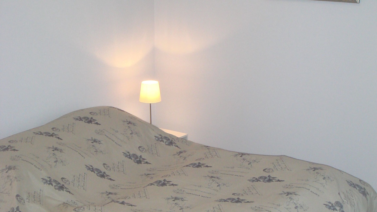 Photo of Bedroom in Meursanges