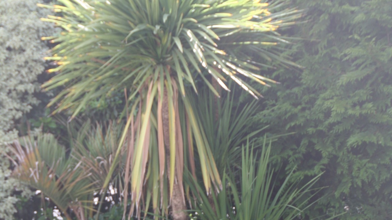 Photo of Outdoor in La Jarrie