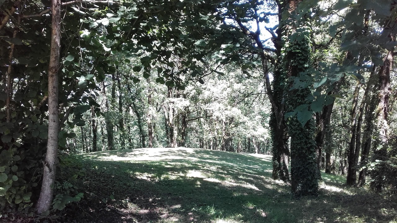 Photo of Outdoor in Espinas
