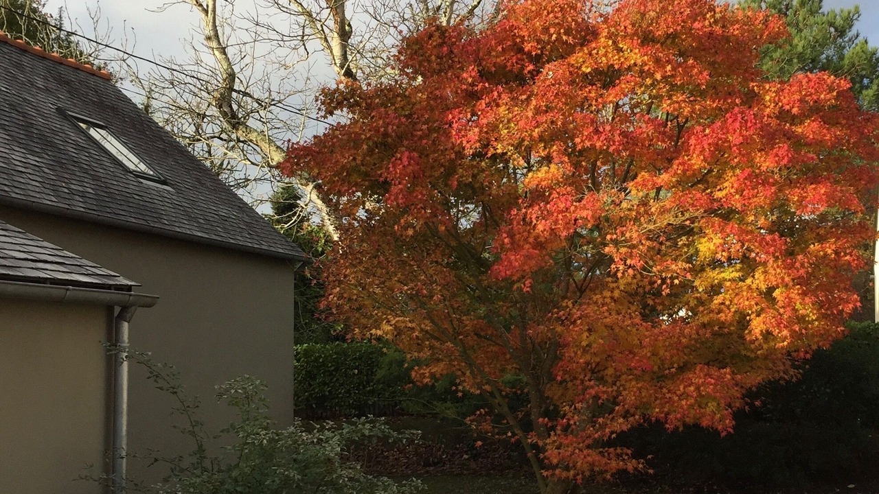 Photo of Outdoor in Fouesnant