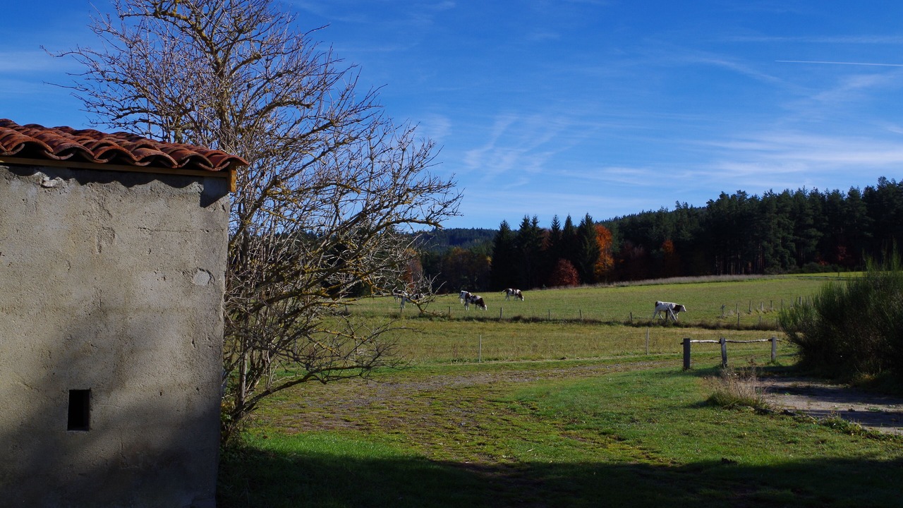 Photo of Outdoor in Usson-en-Forez