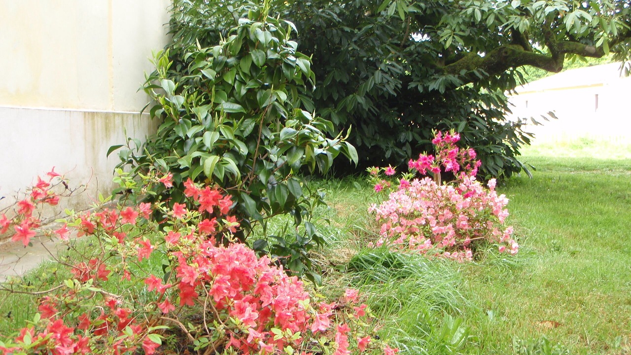 Photo of Outdoor in Saucats