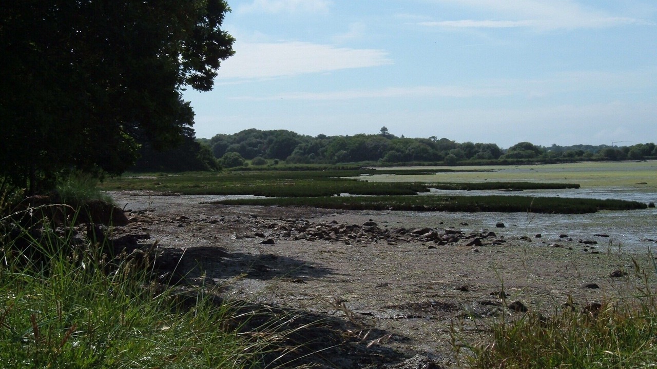 Photo of Outdoor in Saint-Gildas-de-Rhuys