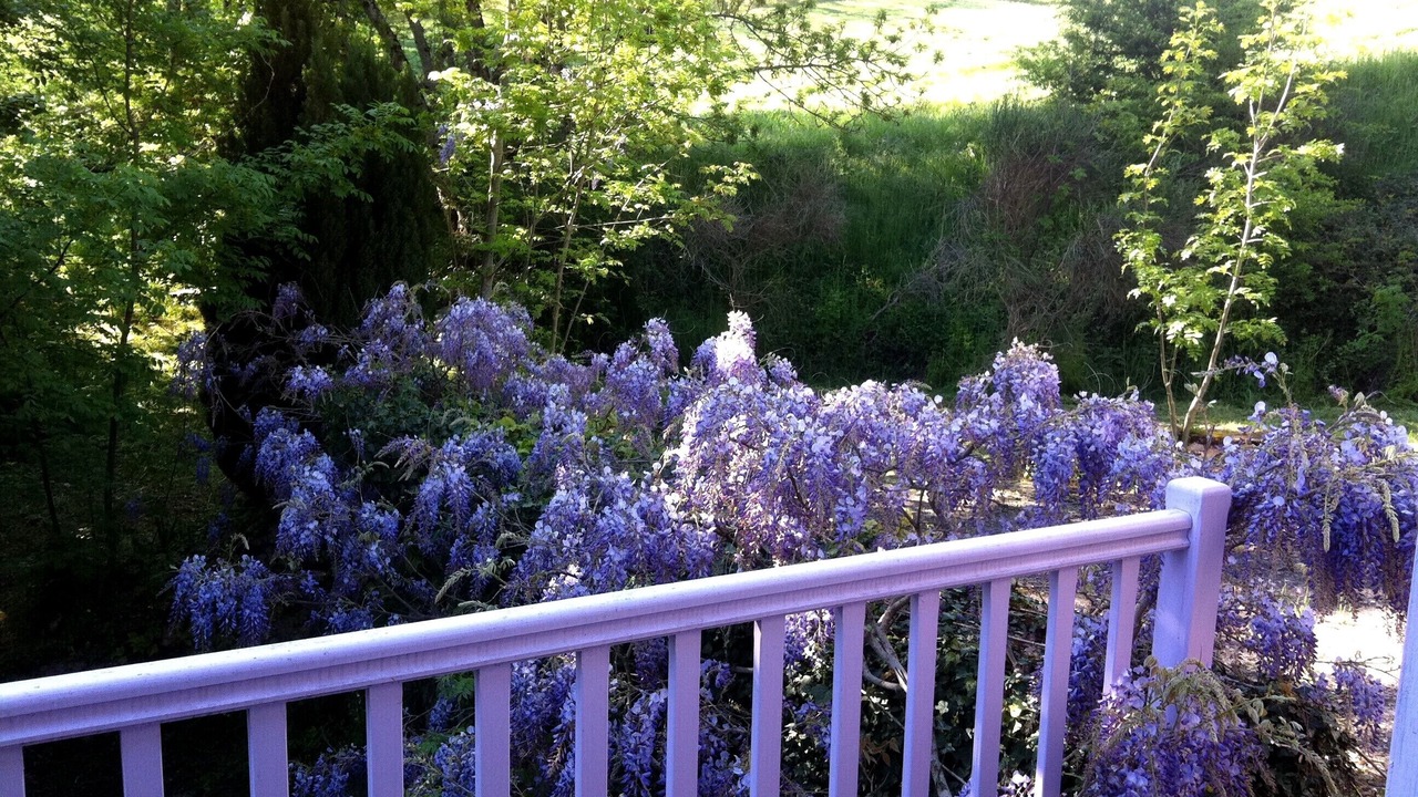 Photo of Outdoor in Saint-Andre-de-Najac