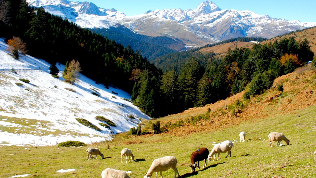 Photo of Outdoor in Peyragudes