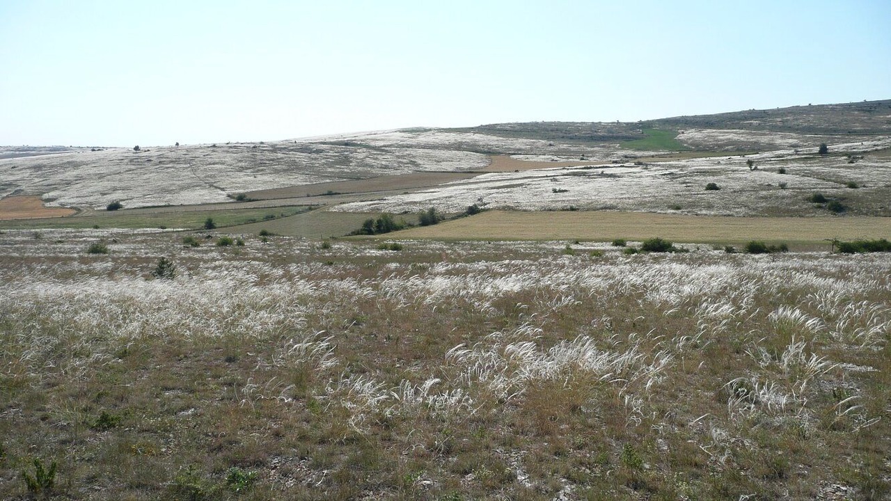 Photo of Others in Meyrueis