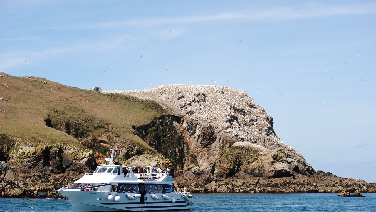 Photo of Others in Perros-Guirec