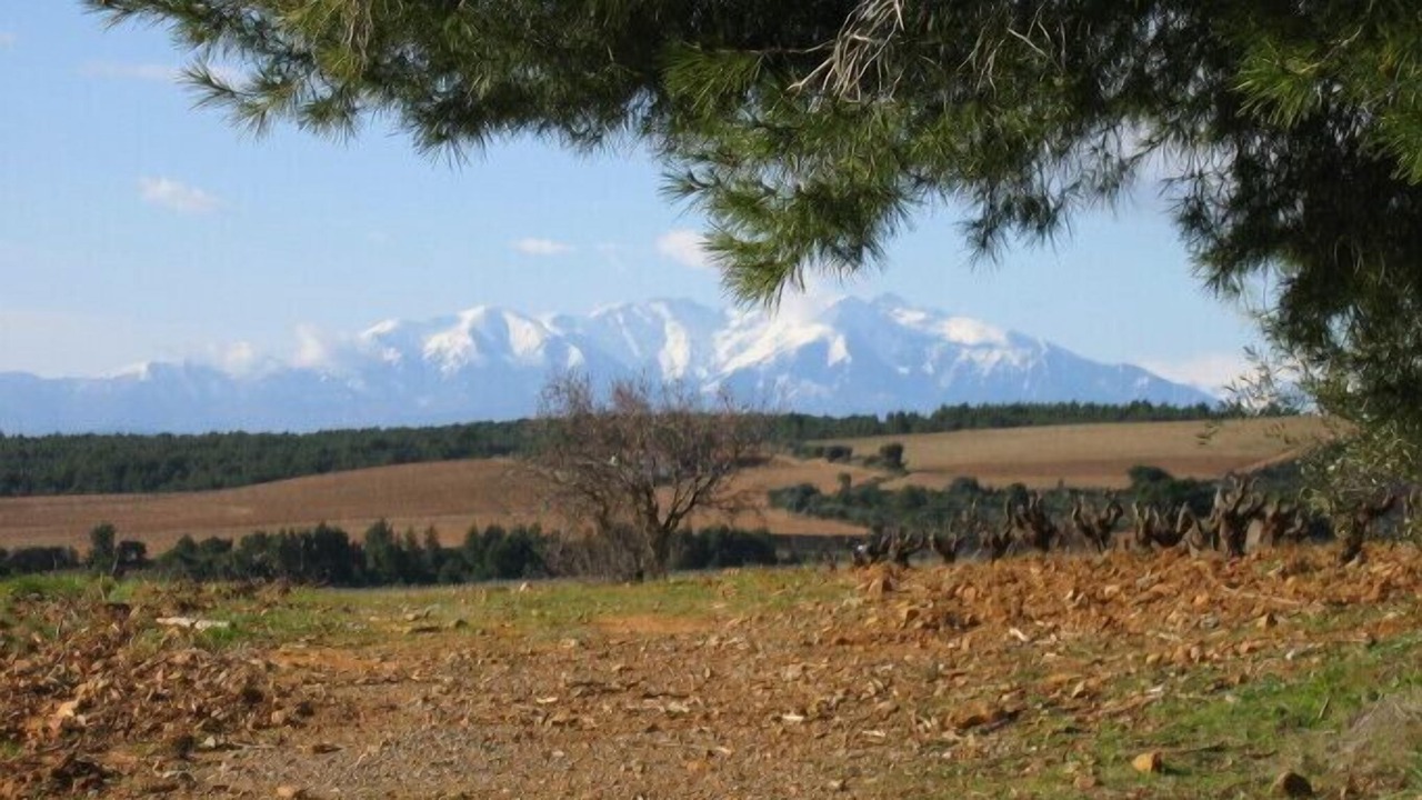 Photo of Outdoor in Paziols