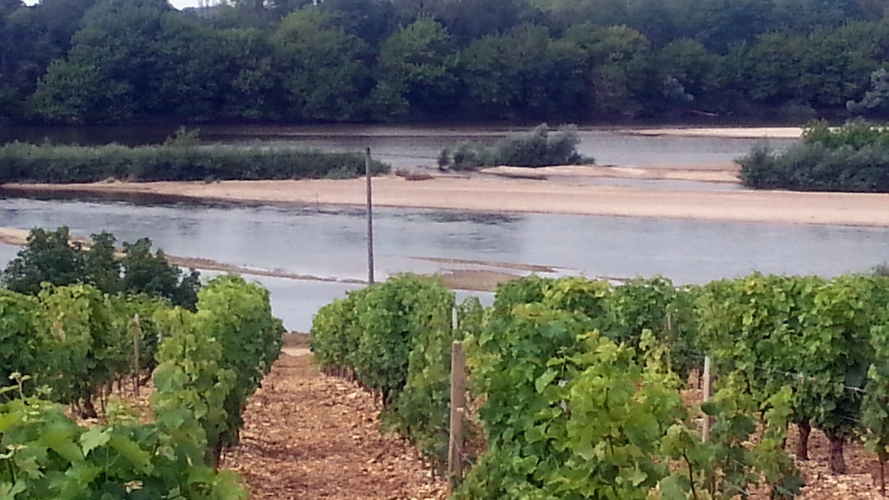 Photo of Others in Pouilly-sur-Loire