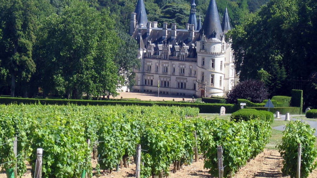 Photo of Outdoor in Pouilly-sur-Loire
