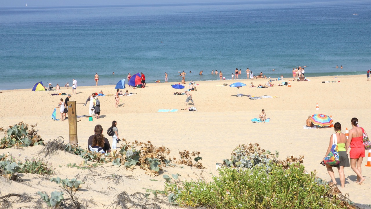 Photo of Others in Saint-Girons Plage