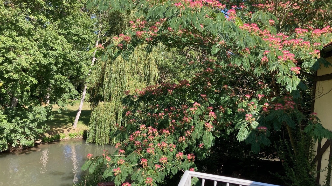 Photo of Outdoor in Molineuf