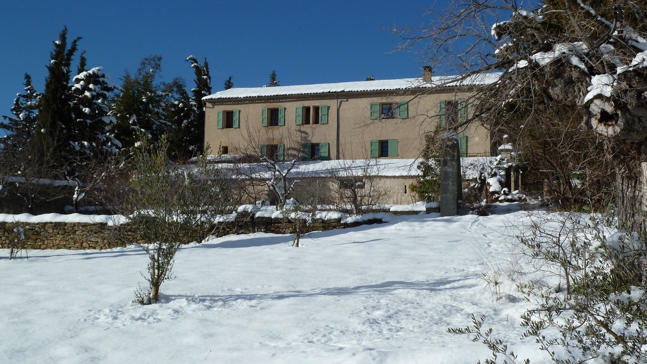 Photo of Outdoor in Cruis